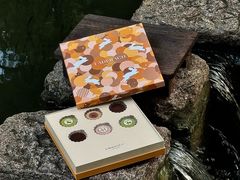 -Laderach 莱德拉(上海环贸iapm店)