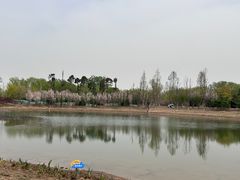 -永定河休闲森林公园