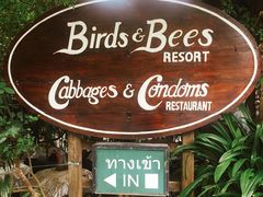 -卷心菜和避孕套餐厅(Pattaya)