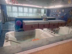 -维倪月子会所(独栋庭院·南海店)