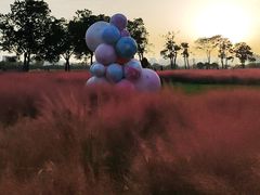 -汉长安城未央宫国家考古遗址公园