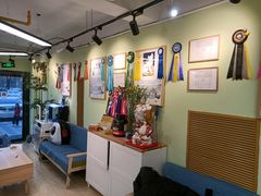 -猫十亿·布偶金渐层·曼基康矮脚猫舍(青年路店)