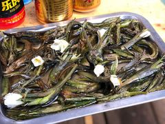 -泸沽湖国家级风景名胜区走婚桥