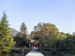 -白马涧龙池景区