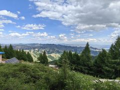 -苏木山森林公园