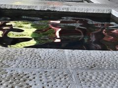 -西安华清御汤酒店