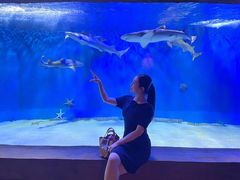 -中央电视塔旋转餐厅