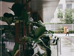 -sugarman espresso素饮糖人高新咖啡工厂