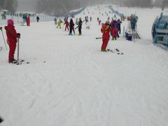 -亚布力新体委滑雪场