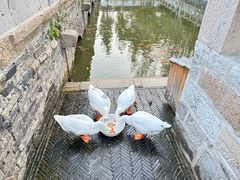 -苏州碑刻博物馆