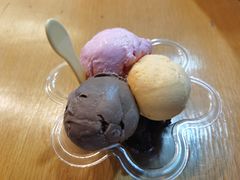 -成裕雪糕店(士多店)