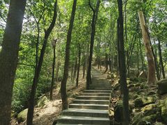 -火炉山森林公园