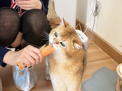 -万达广场(济南高新店)