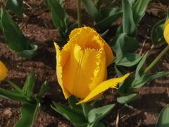 -长春公园(普阳街道)