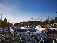 -牛岗山公园