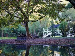 -上海共青森林公园