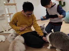-1013 PET SHOP精品宠物商店(丁香店)