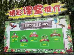 -广州长隆飞鸟乐园