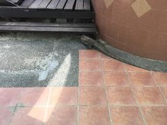 -东姑阿都拉曼海洋公园