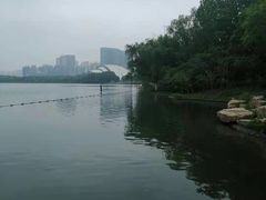 -天鹅湖体育公园
