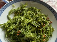 -鲁菜根·泰山菜(泰山店)