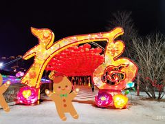 -沈阳奥体冰雪嘉年华