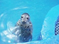 -石林冰雪海洋世界