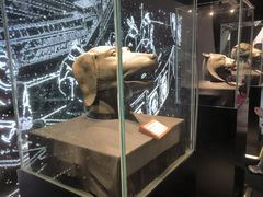 -北京世纪金源购物中心(远大路店)