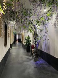-盘子女人坊生日照·摄影馆(华强店)