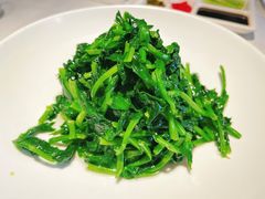 清炒豌豆尖-四季民福烤鸭店(前门店)