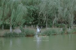 -薇咖映画婚纱摄影工作室