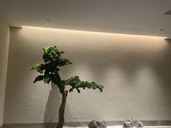 -西安国际创新人才交流中心•药浴温泉