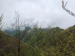 -塔云山