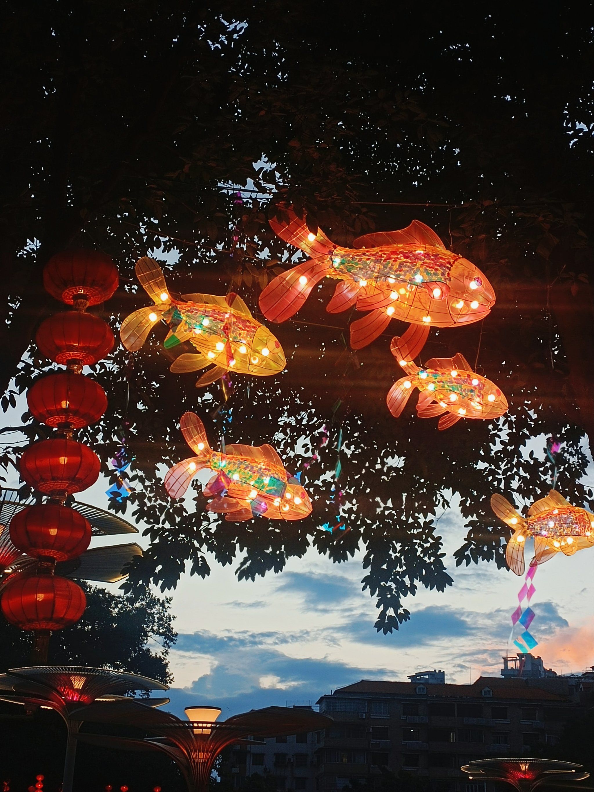 文化公园中秋花灯会!避开多人在黄昏傍晚!