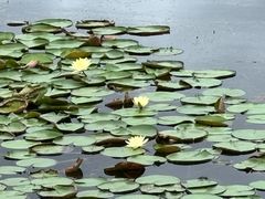 -白鹭湾湿地公园