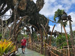 -奥兰多迪士尼动物王国乐园