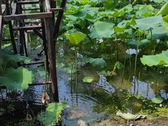 -武汉紫薇都市田园