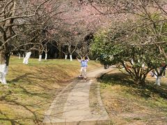-杭州植物园