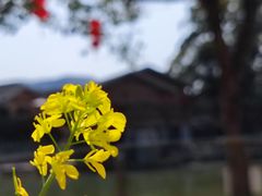 -云水谣景区