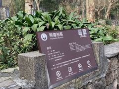-都江堰中华大熊猫苑