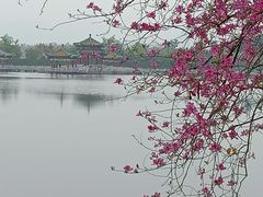 -星湖旅游景区七星岩