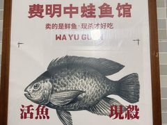 -费明中罗非鱼(大石坝店)