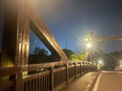 -洪湖悦兮半岛国际温泉度假村
