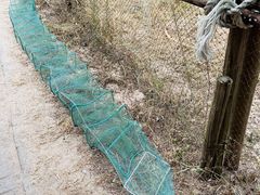 -北海金海湾红树林生态旅游区