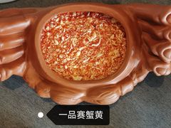 -羲和雅苑•北京烤鸭(平安国际金融中心店)