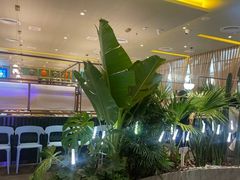 -润园四季椰子鸡火锅(南山海岸城店)