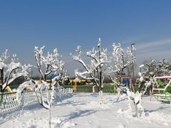 -绿野森林乐园冰雪季