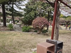 -嘉定紫藤园