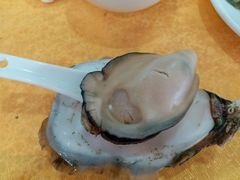 -蚝专家(北滘店)