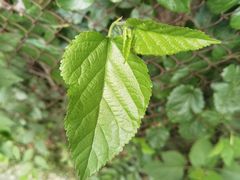 -云川台球(马甸店)